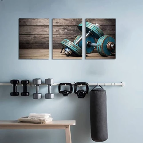 Modular Dumbbells Painting Modern Home Decor Poster 3 Pieces HD Printed