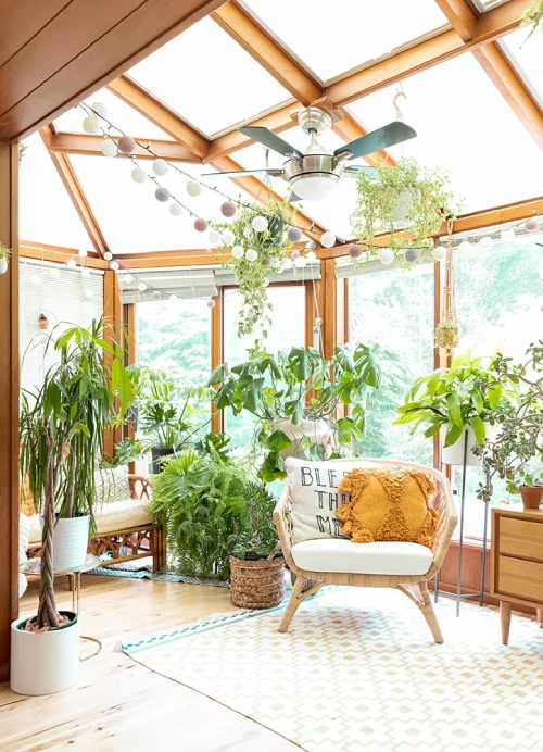 Decorating with Plants