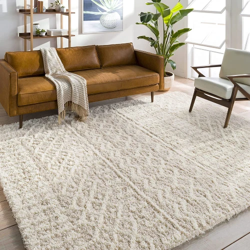 30 Decorative Boho Rugs for Living Room Ideas